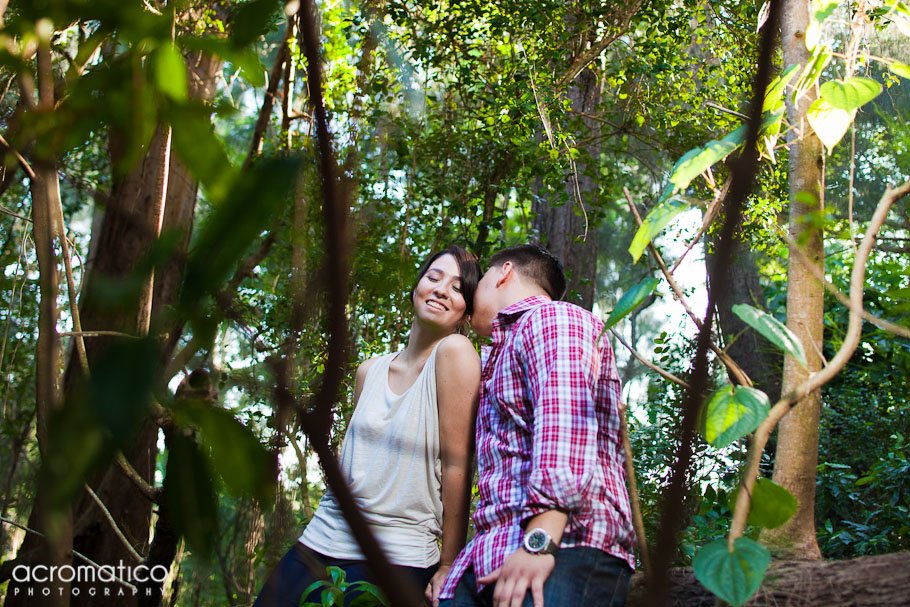Danay + Joshua Tree Tops Park Engagement Session South Florida