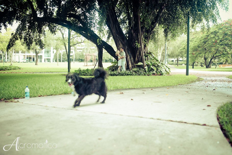 University of Miami Engagement-2