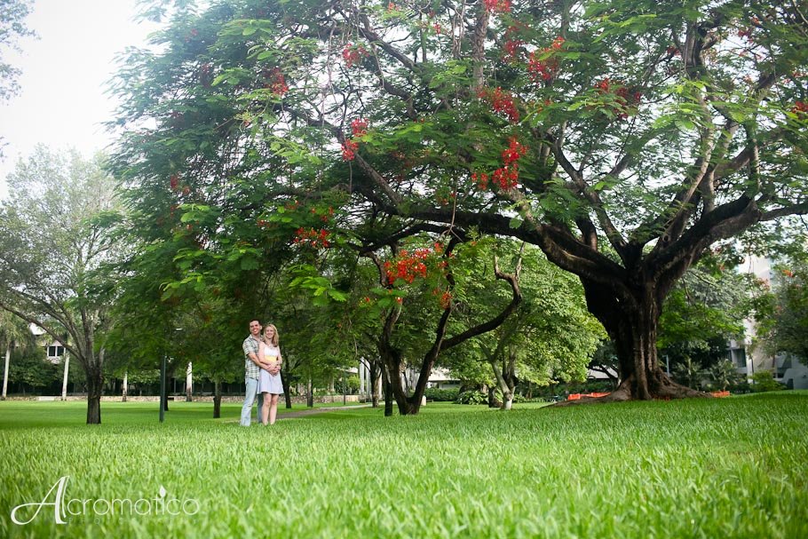 University of Miami Engagement-3