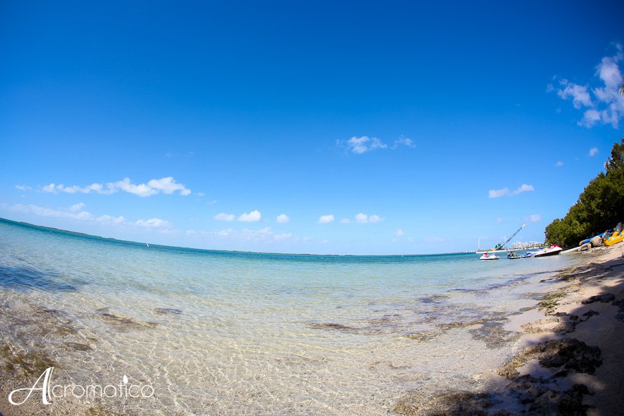 hilton key largo wedding-3
