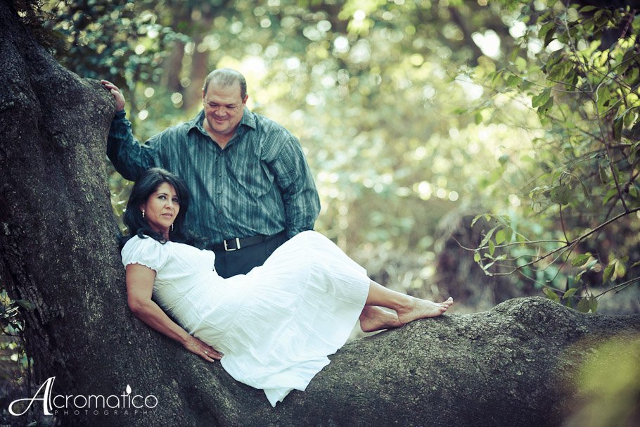 tree tops park engagement-1