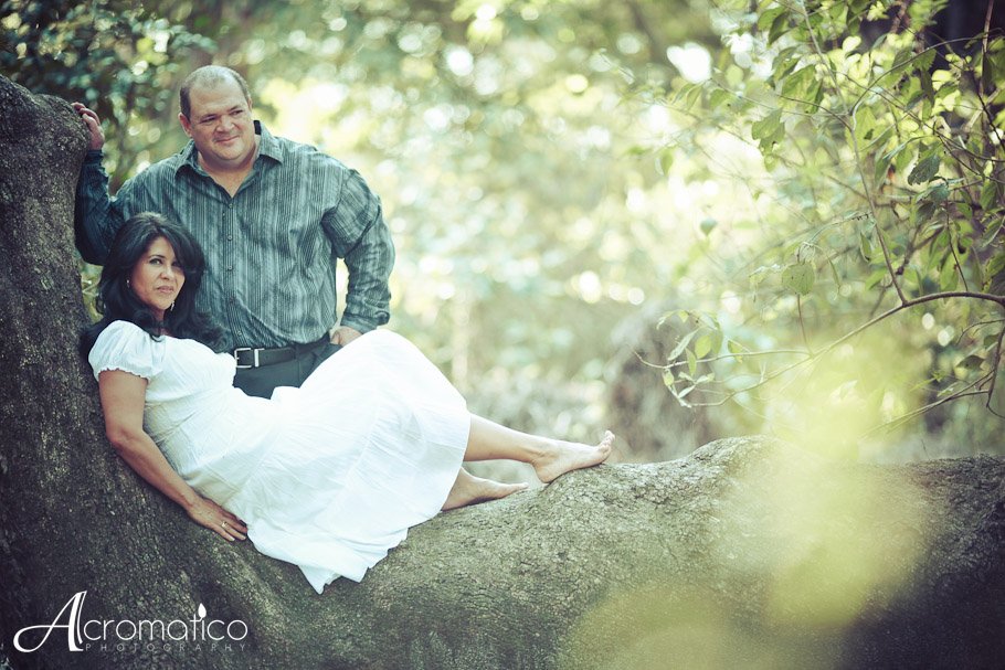 tree tops park engagement-2
